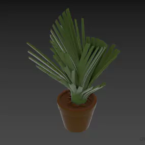 Palm Plant With Gravel Pot 3d model