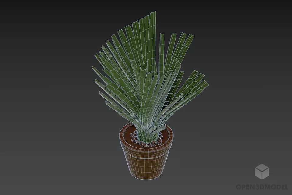 Palm Plant With Gravel Pot 3d model 3