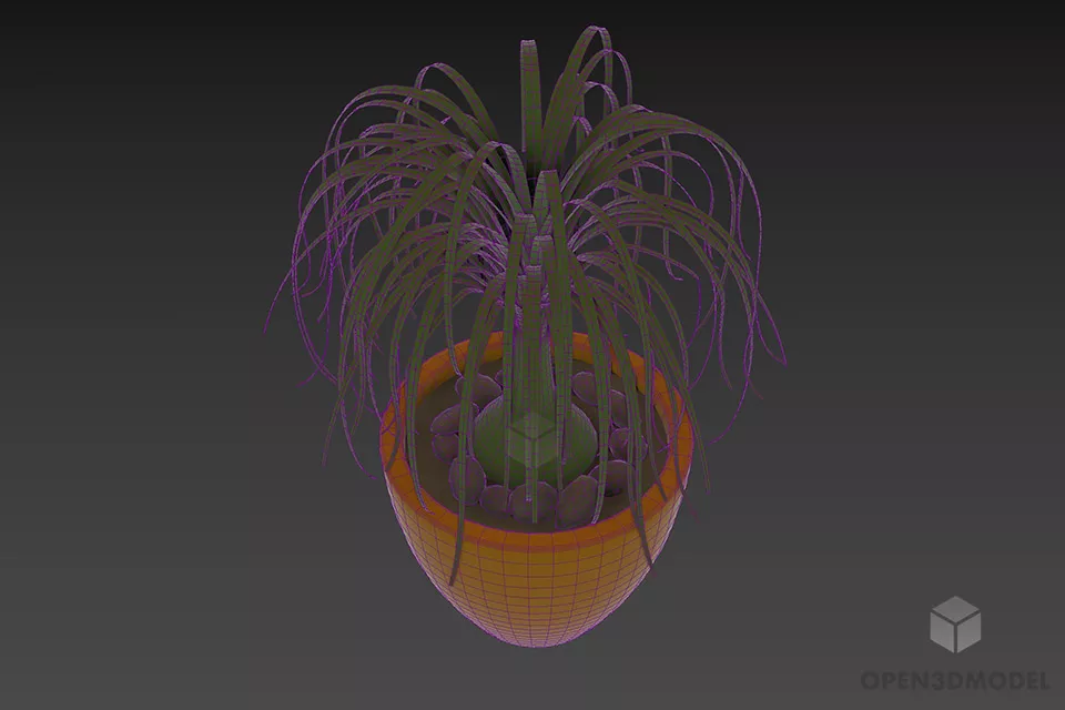 Plant Potted With Curved Long Leafs 3d model 2