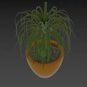 Plant Potted With Curved Long Leafs 3d model
