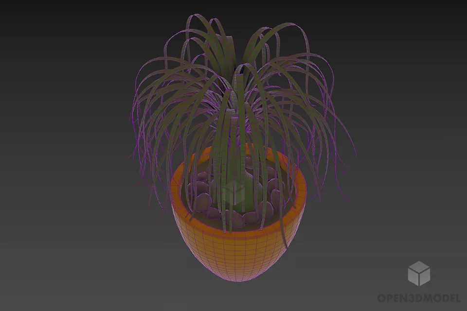Plant Potted With Curved Long Leafs 3d model 3