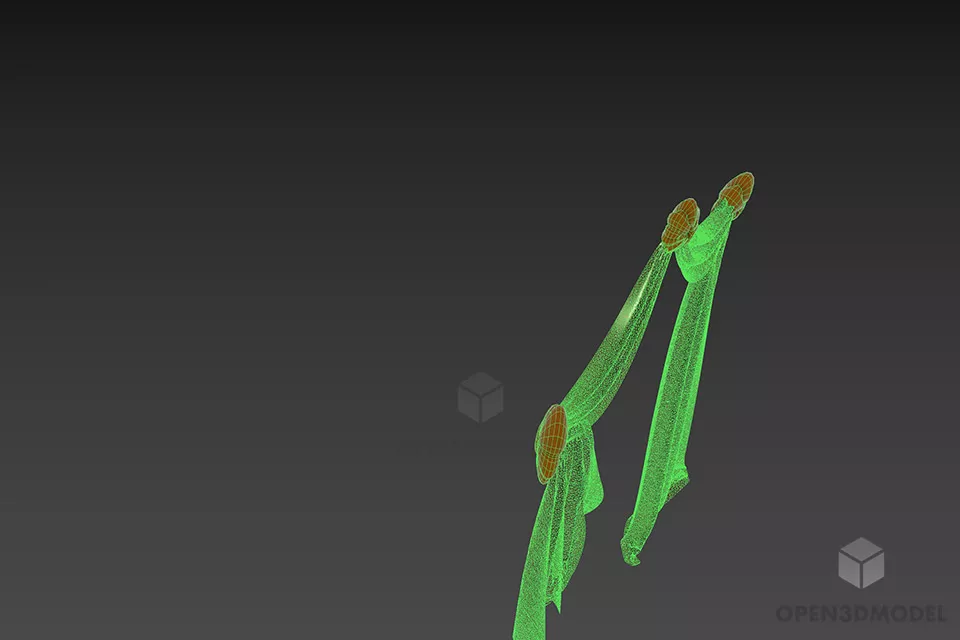 Antique Curtain Elegant Draped 3d model 2