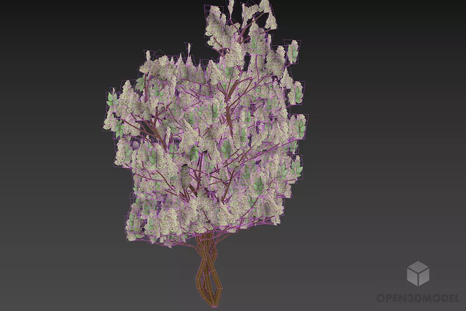 Bushes Lilac Plant 3d model 2