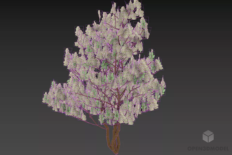 Bushes Lilac Plant 3d model 3