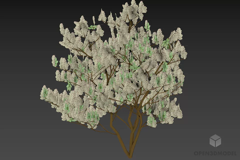 Potted Plant Small Leaf Plant 3d model