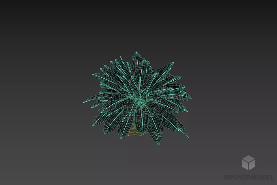 Aloha Leaf Plant 3d model 2