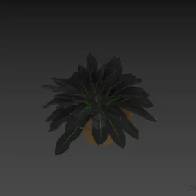 Aloha Leaf Plant 3d model