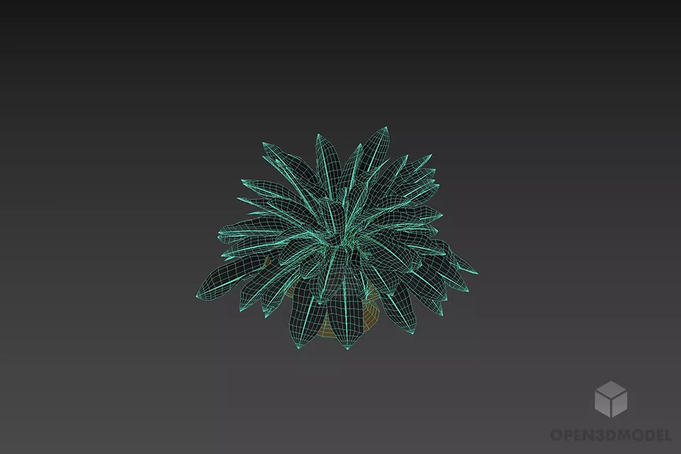 Aloha Leaf Plant 3d model 3