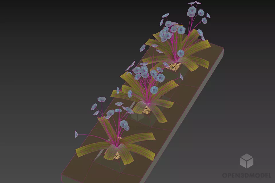 Flowers In Rectangle Pot 3d model 2