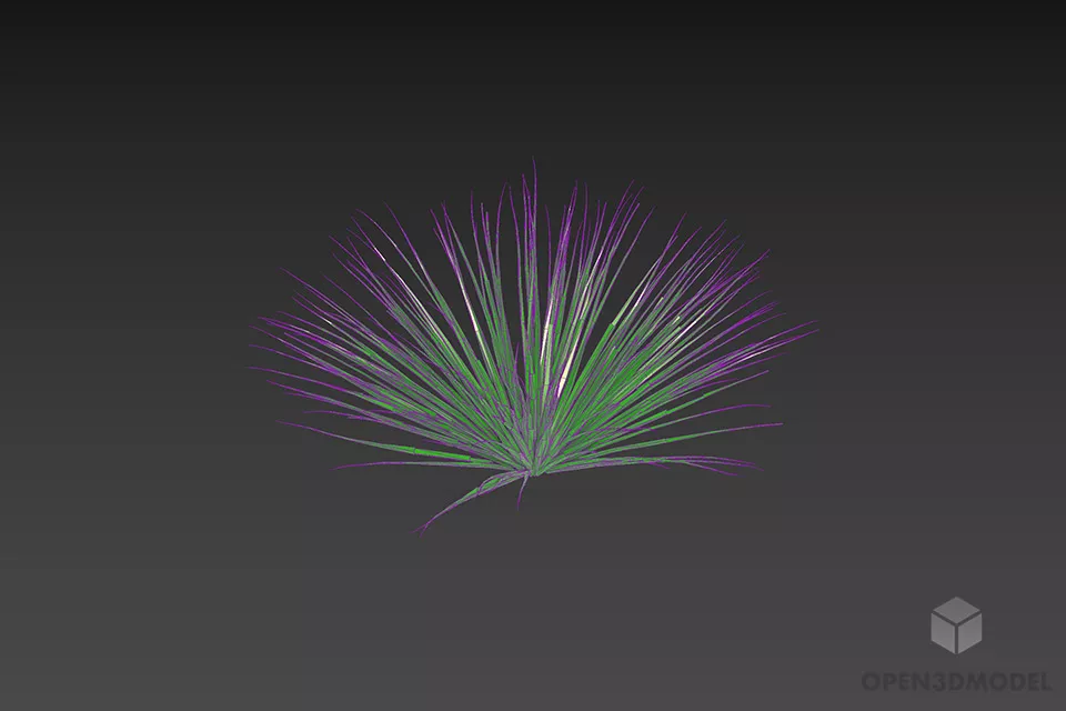 Bush Plant Thin Grass 3d model 2