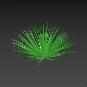 Bush Plant Thin Grass 3d model