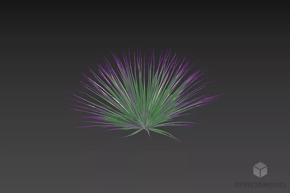 Bush Plant Thin Grass 3d model 3