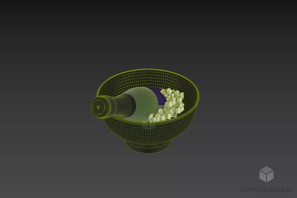 Wine Bottle In Bowl 3d model 3