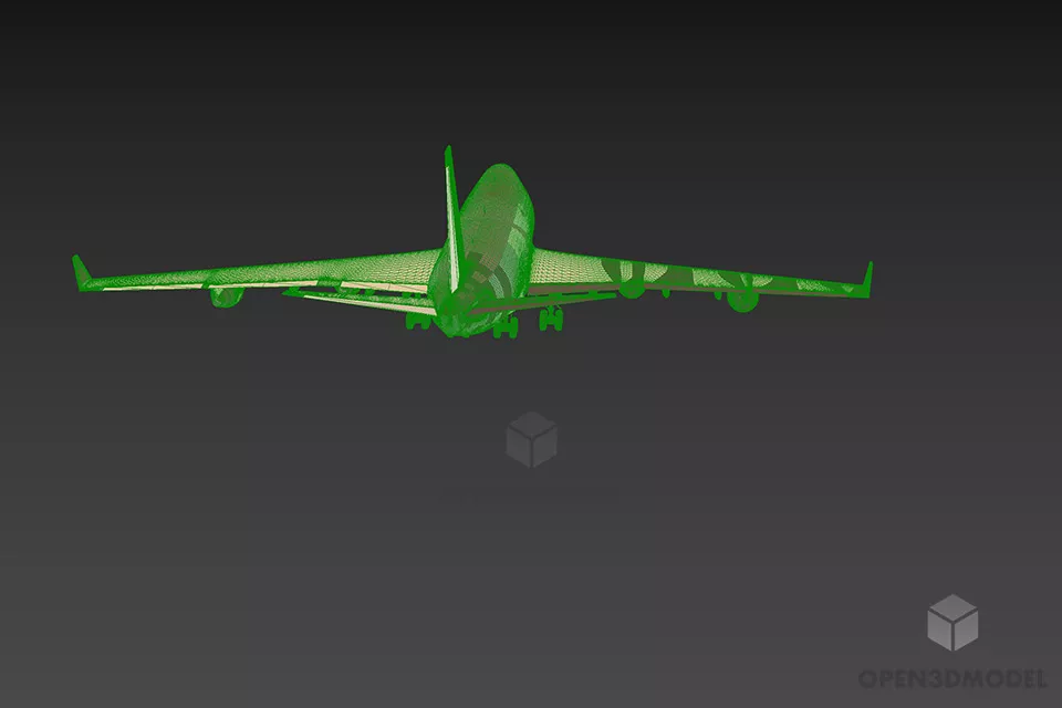 Us Northwest Boeing Airplane 3d model 3