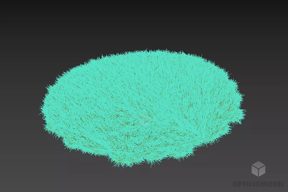 Fur Carpet Round Shape 3d model 2
