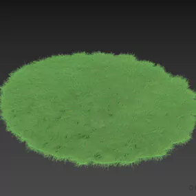 Fur Carpet Round Shape 3d model