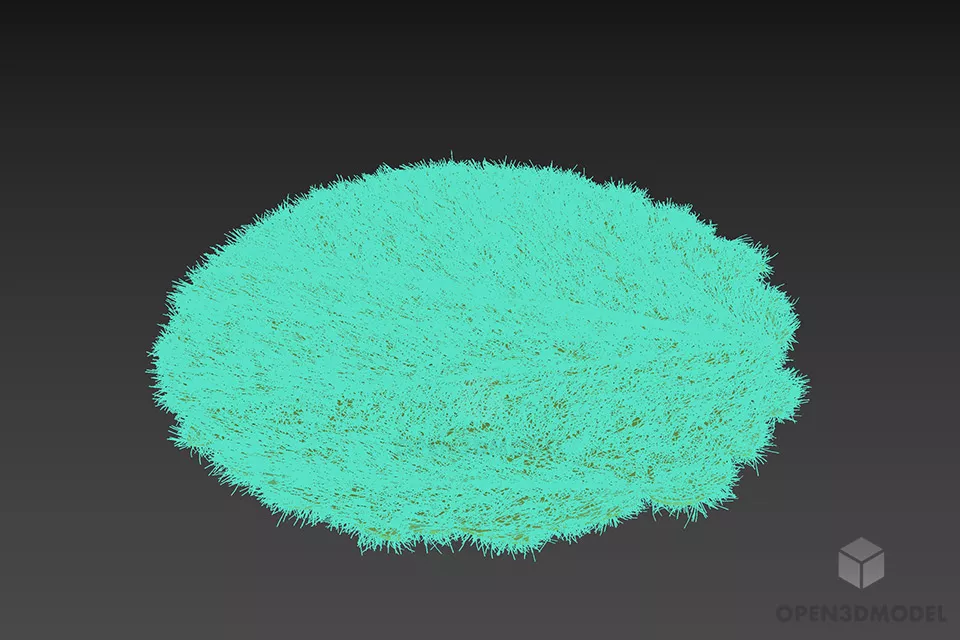 Fur Carpet Round Shape 3d model 3