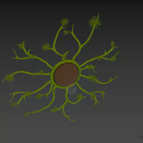 Circle Branches Mirror Decorative 3d model