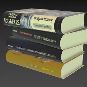 Stack Books With Different Lables 3d model