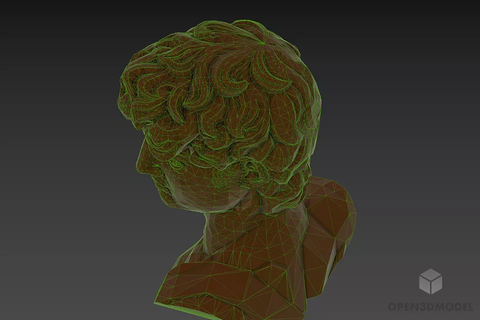 Greek Sculpture Of David Head 3d model 2