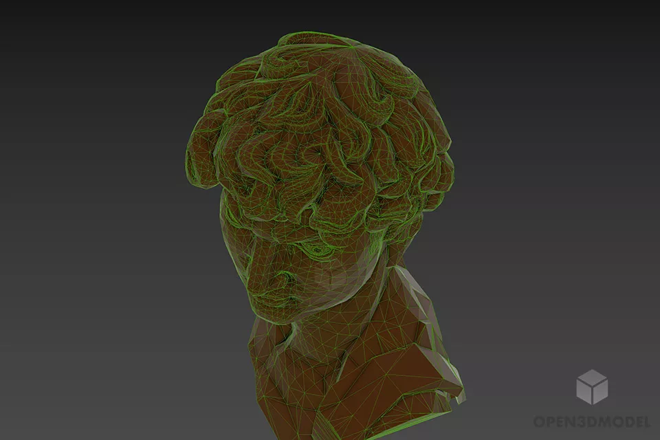 Greek Sculpture Of David Head 3d model 3