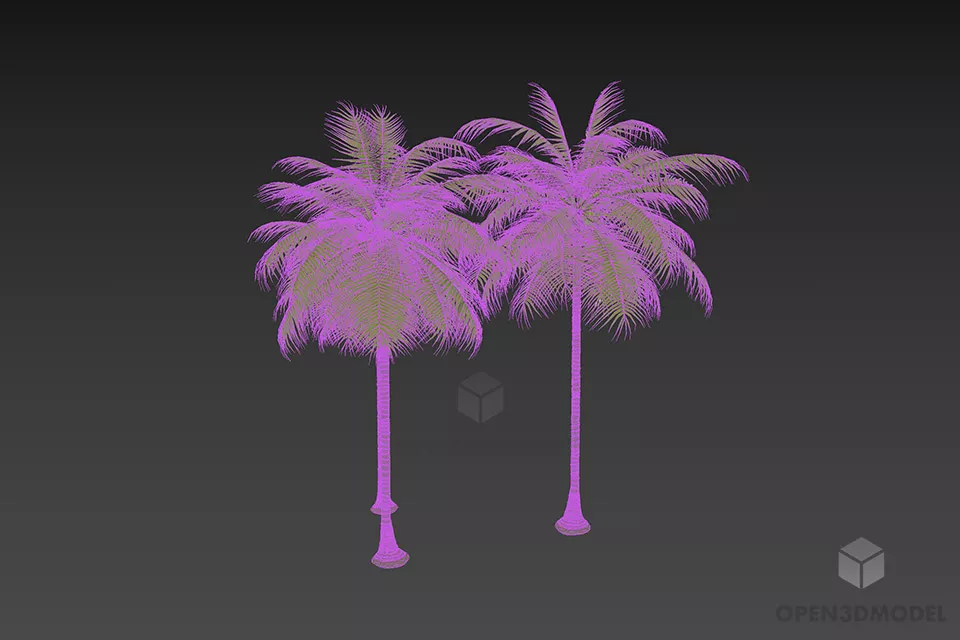 Island Palm Tree, Lowpoly Tree 3d model 2