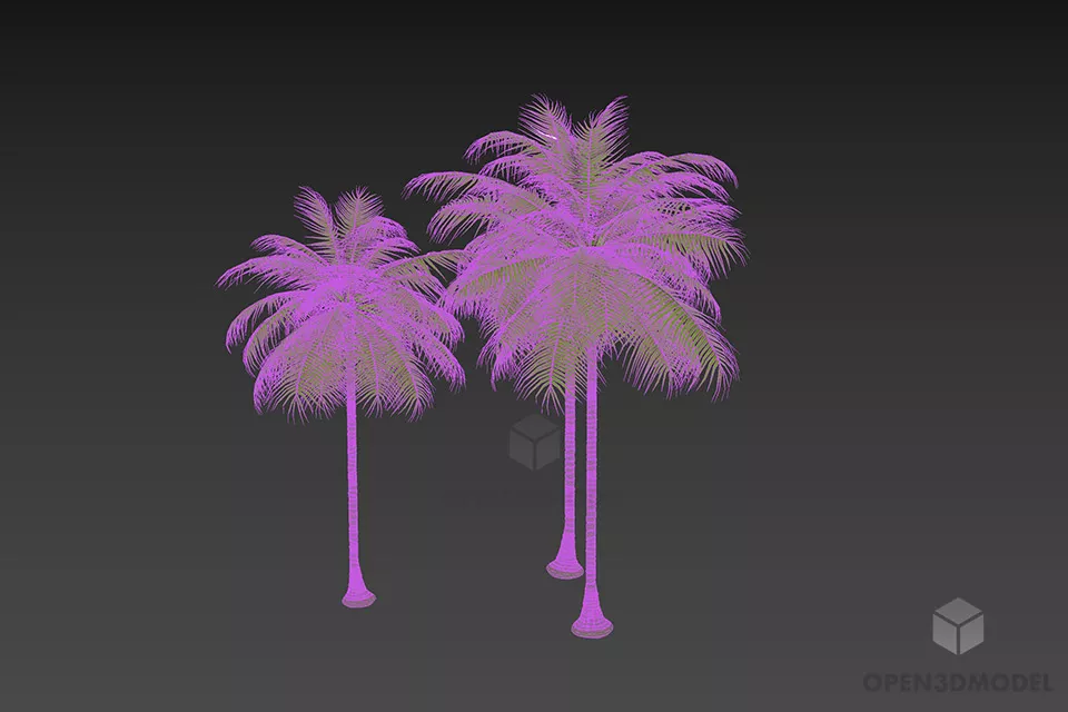 Island Palm Tree, Lowpoly Tree 3d model 3