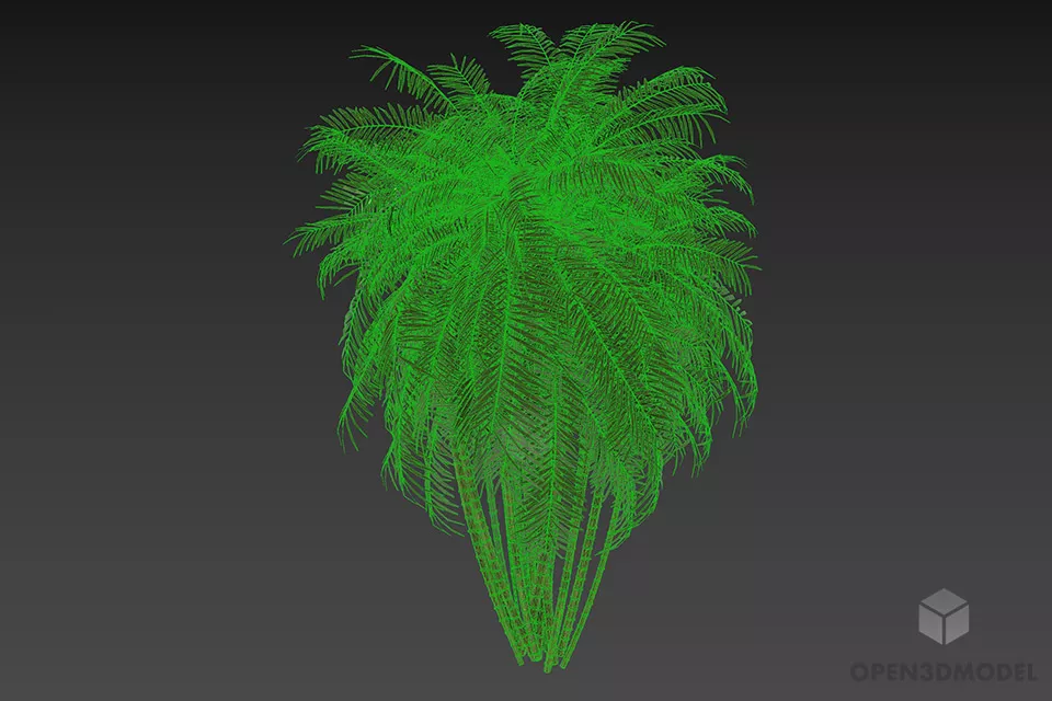 Palm Tree Bushes 3d model 2