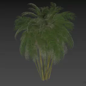 Palm Tree Bushes 3d model