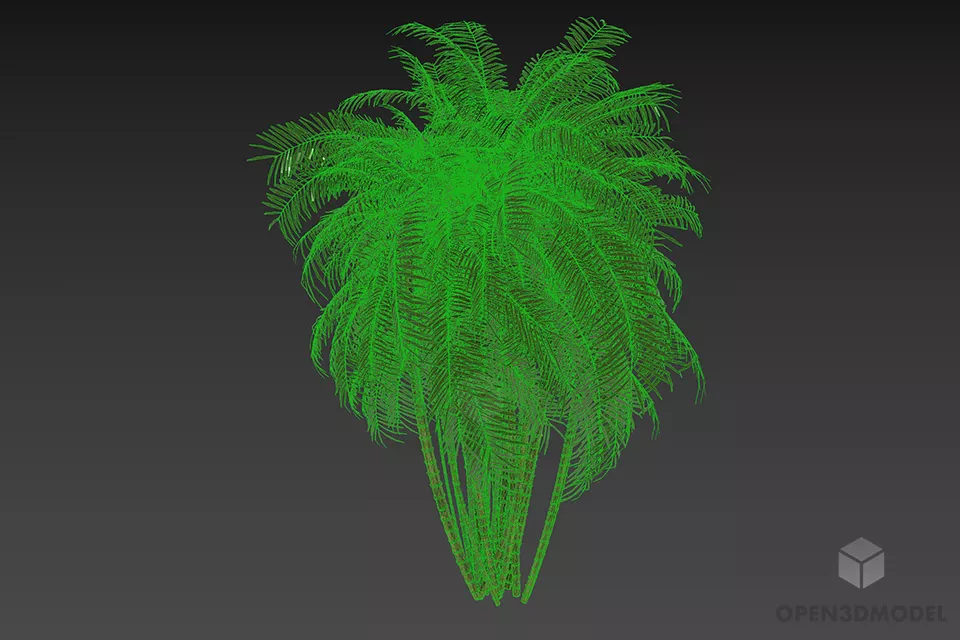 Palm Tree Bushes 3d model 3