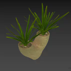 Vase Plant Dual Branches 3d model