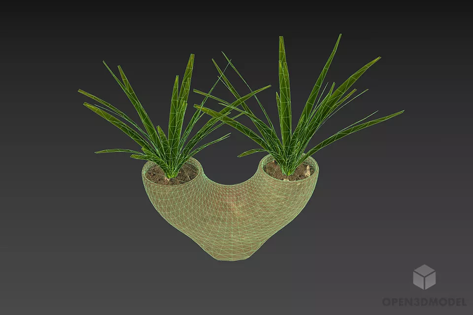 Vase Plant Dual Branches 3d model 3