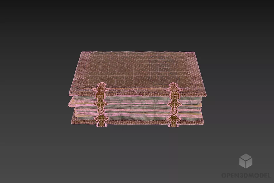 Old Book With Leather Case 3d model 2
