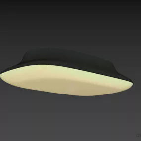 Ceiling Lamp Flat Bowl Shade 3d model