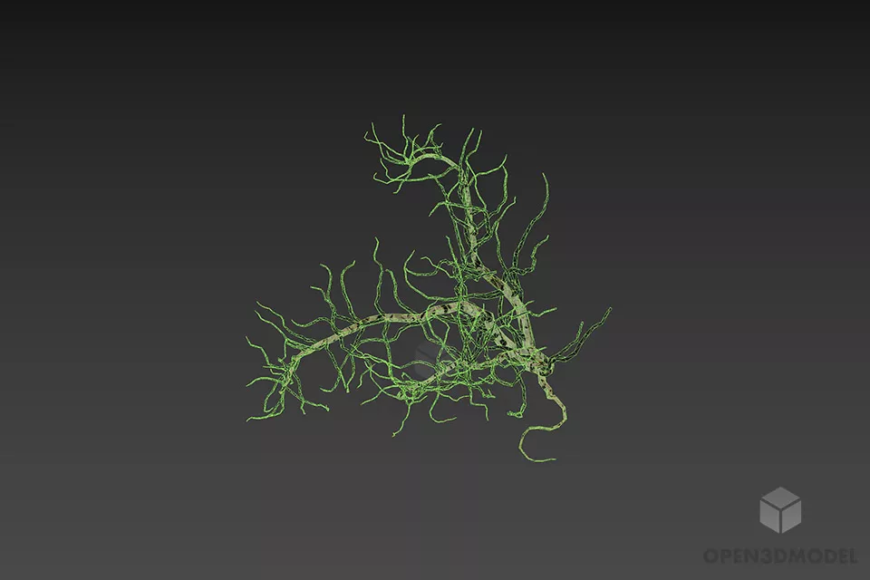 Dry Bush Haloxylon Shrubs 3d model 2