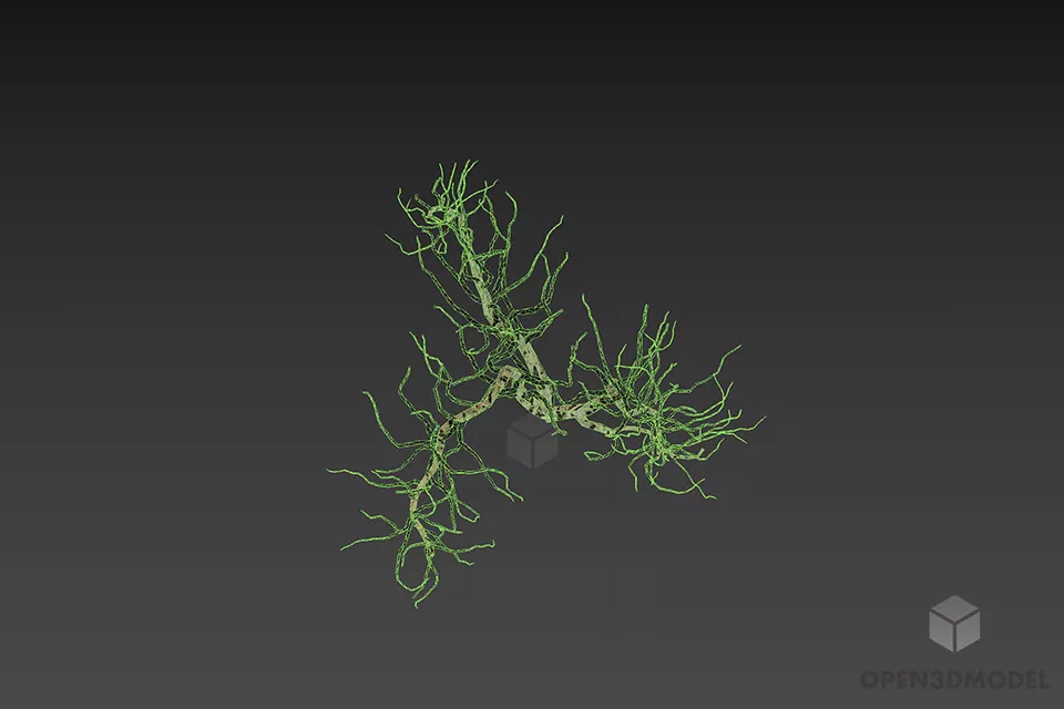 Dry Bush Haloxylon Shrubs 3d model 3