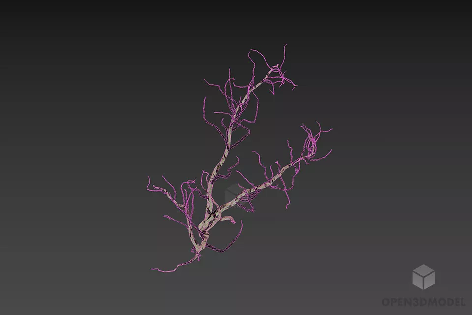 Bushes Haloxylon Dry Branches 3d model 2