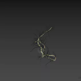 Bush Haloxylon 3d model