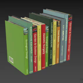 Colorful Books Standing Pose 3d model