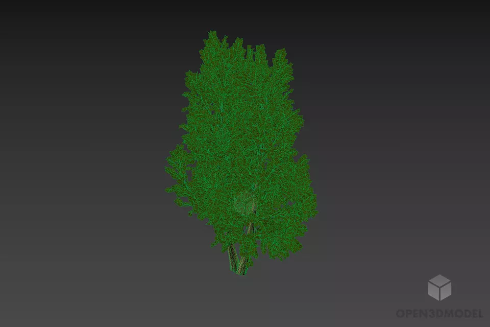 Leaf Tree Small Size 3d model 2