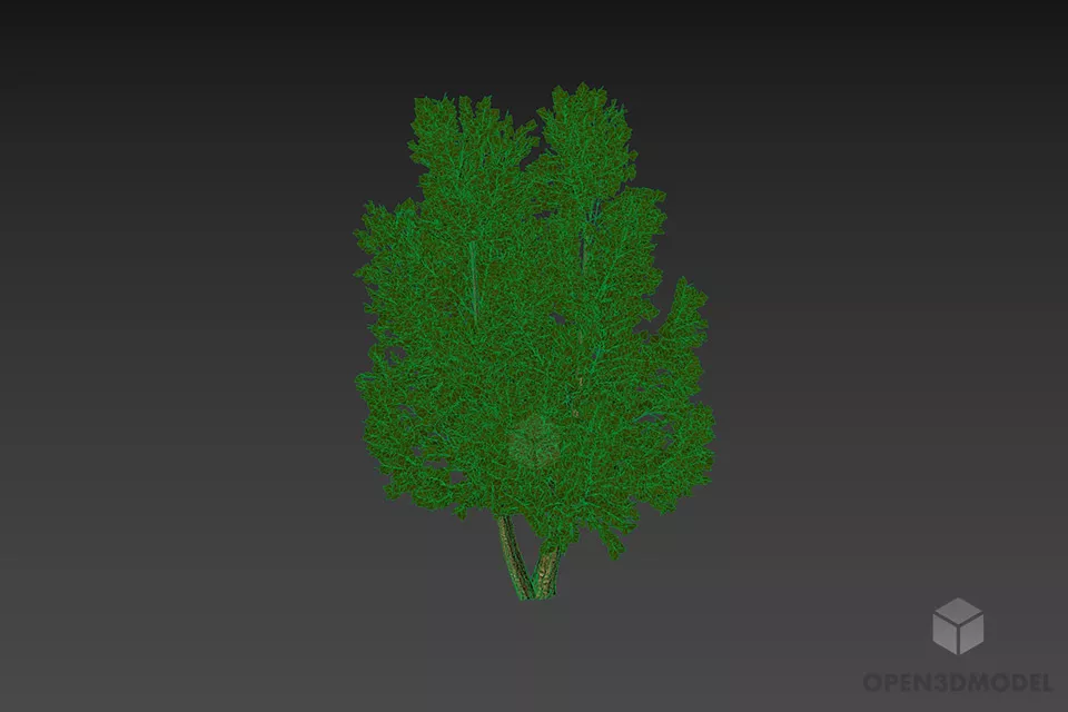 Leaf Tree Small Size 3d model 3