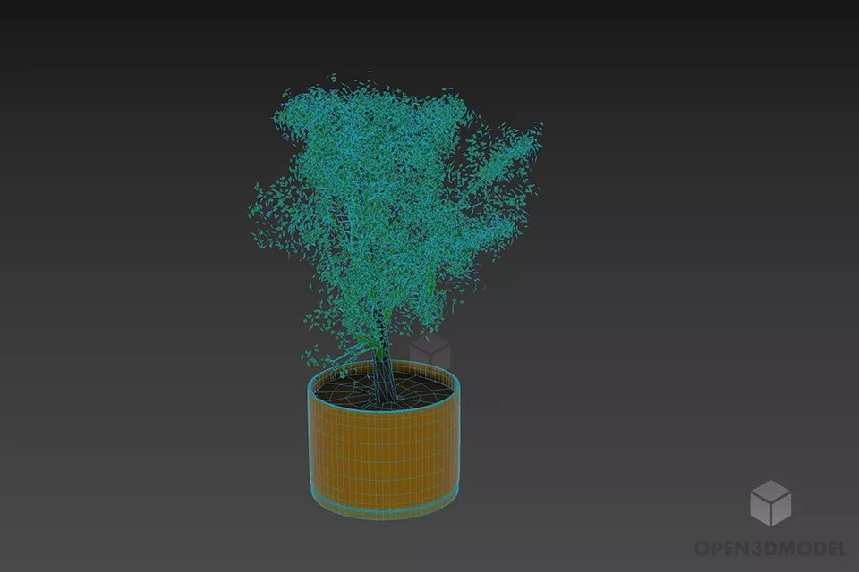 Plant Pot With Small Plant 3d model 2