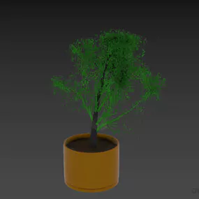 Plant Pot With Small Plant 3d model