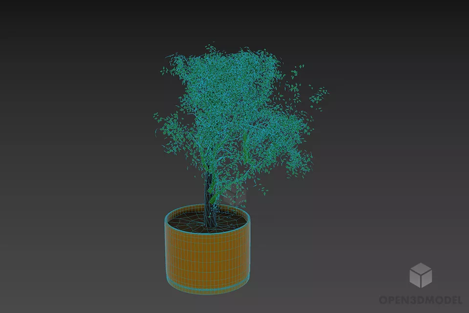 Plant Pot With Small Plant 3d model 3