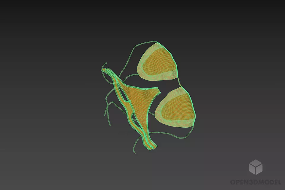 Yellow Bikini Fashion Full Set 3d model 2