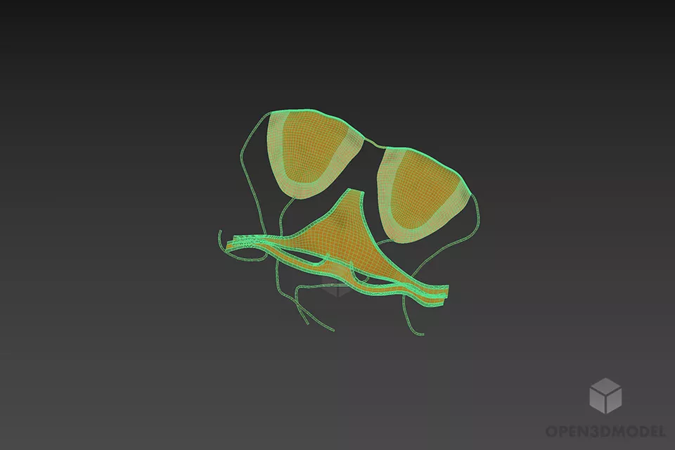 Yellow Bikini Fashion Full Set 3d model 3