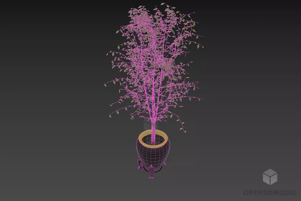 Potted Plant Small Leaf Plant 3d model 2