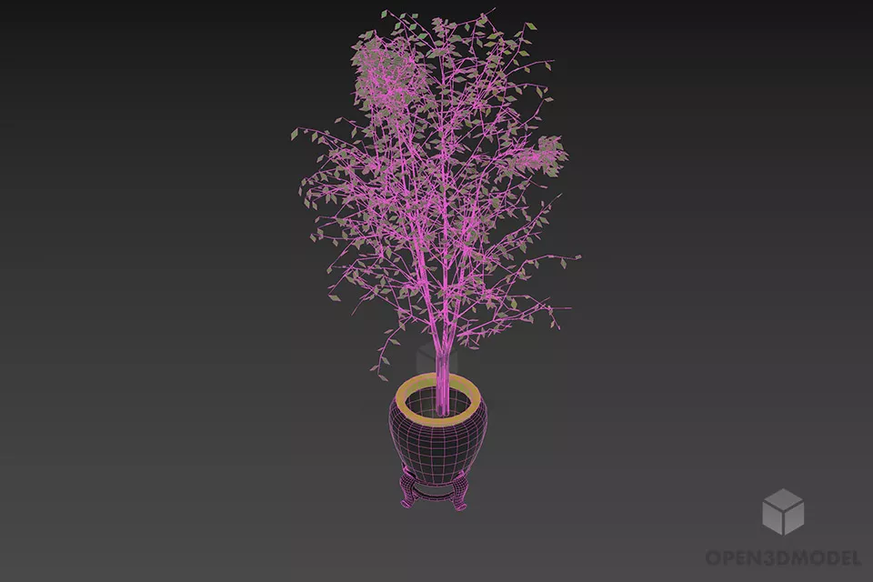 Potted Plant Small Leaf Plant 3d model 3