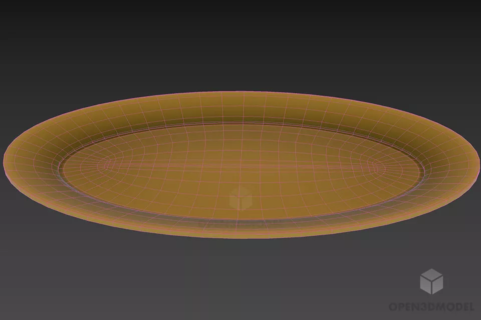 Kitchen Disc Plate 3d model 3