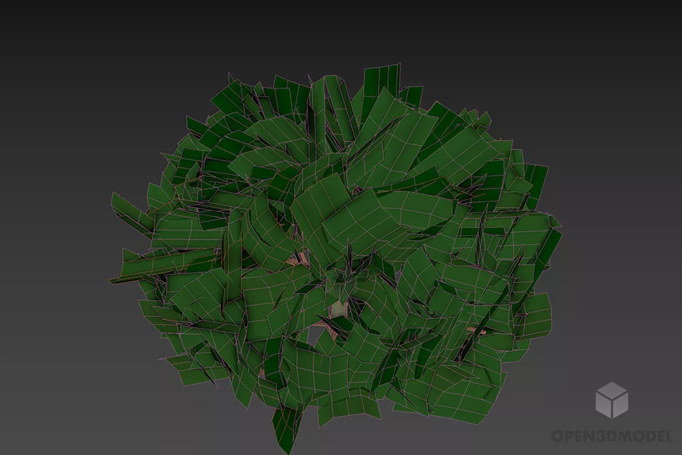 Garden Tree Thuja 3d model 2